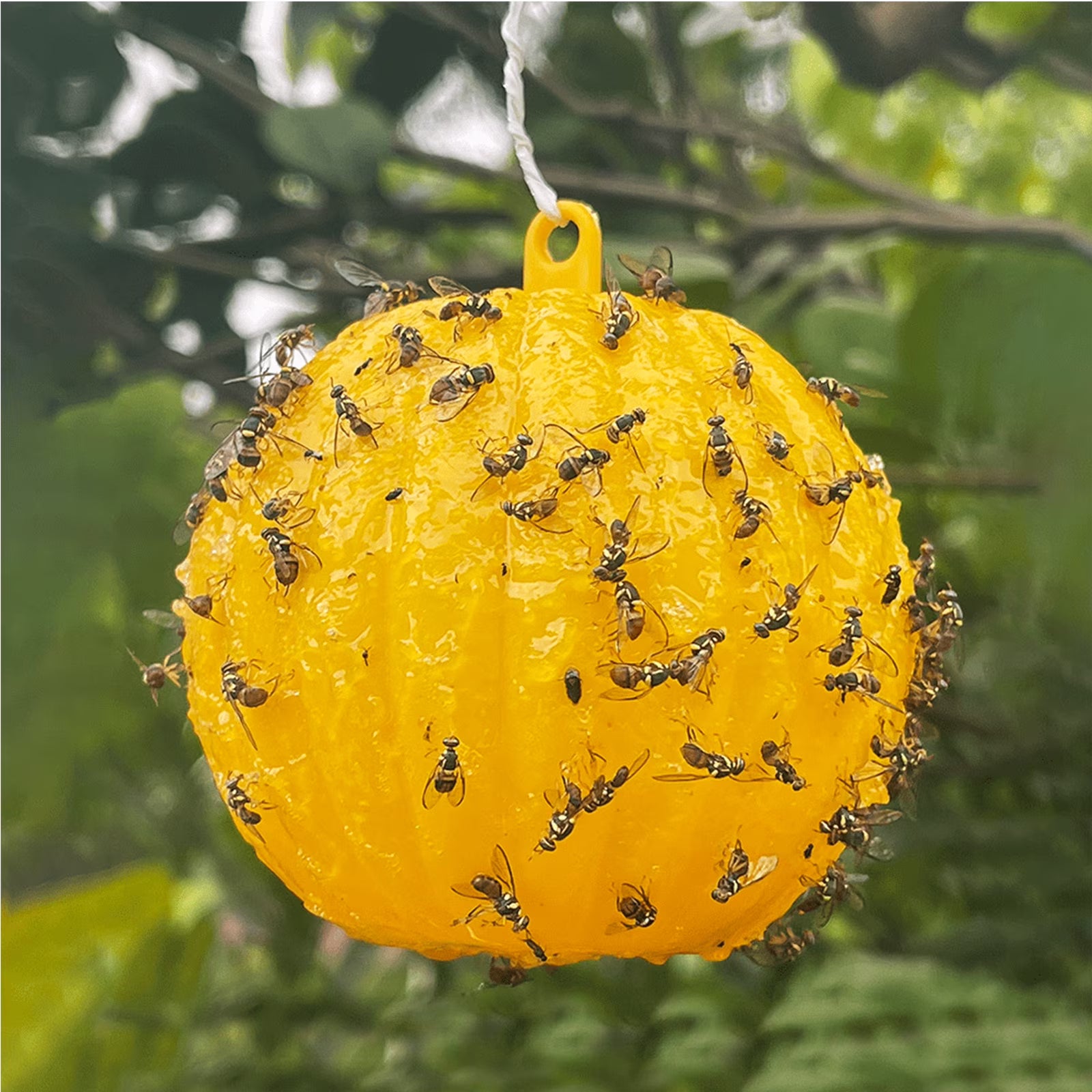 Sticky Flying Insects Trap Ball